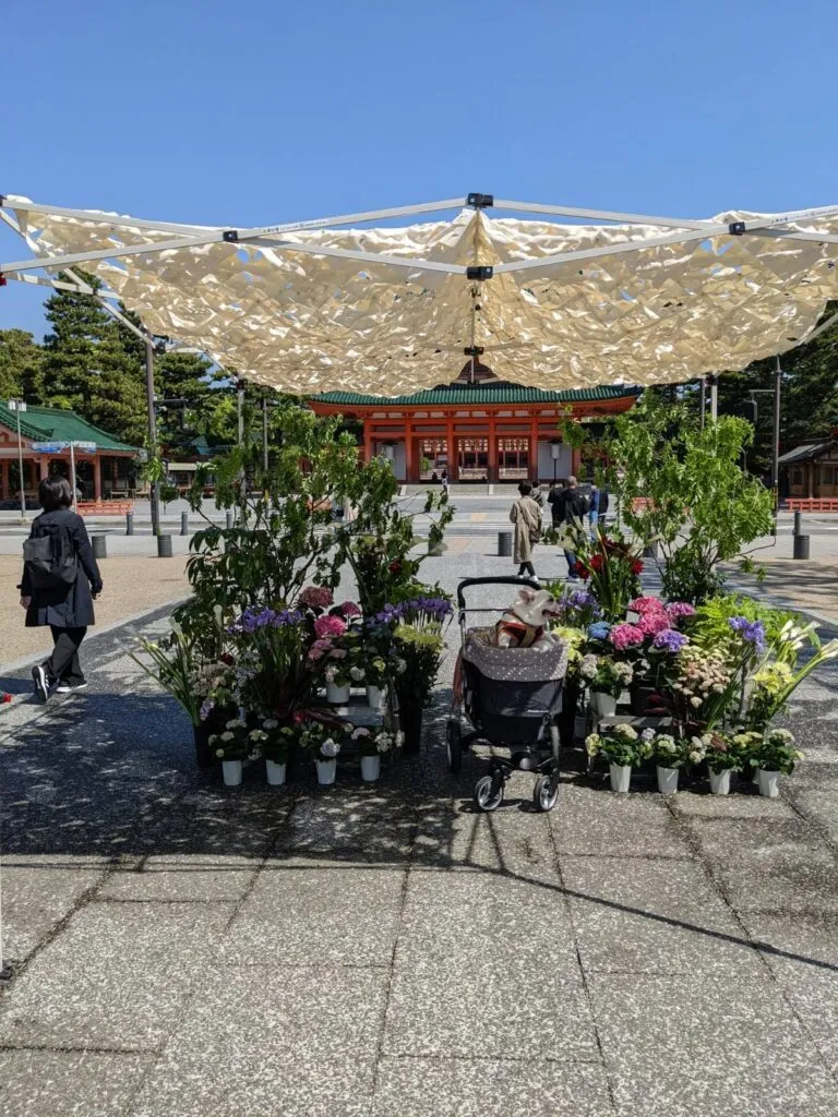 20秒で木陰の涼しさ｜植物のフラクタル構造を活用した遮熱テント