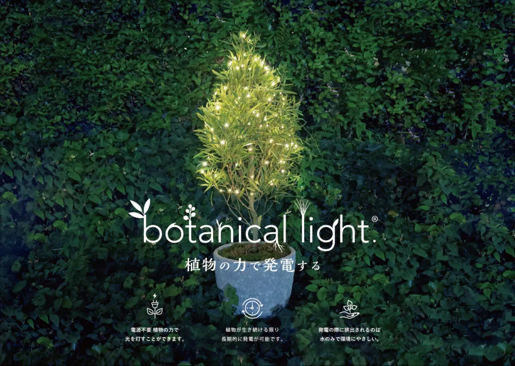 植物の力で光を灯し、空間を演出するbotanical light（ボタニカルライト）