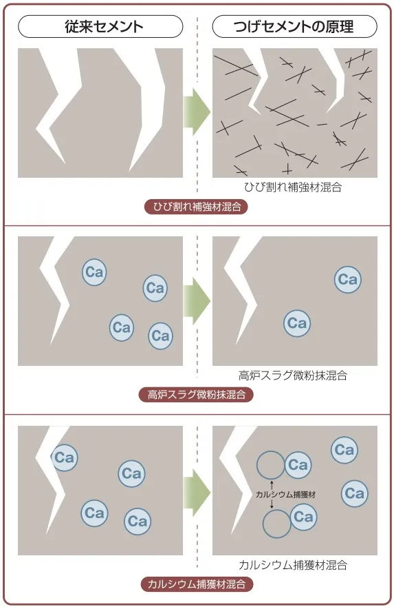 エクステリアの美観をまもる秘訣！コンクリートの白華を防ぐ「つげ 